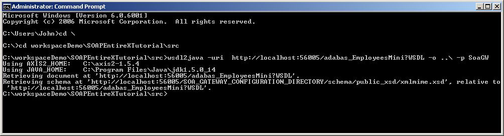graphics/exx_wsdl2java.png